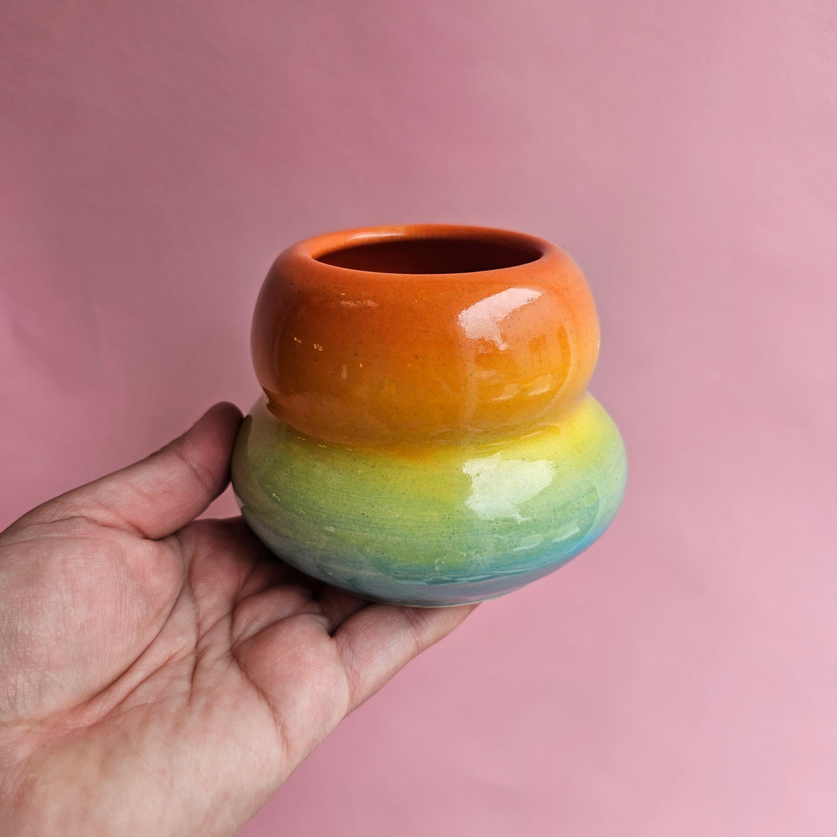 RAINBOW VENUS CUP
