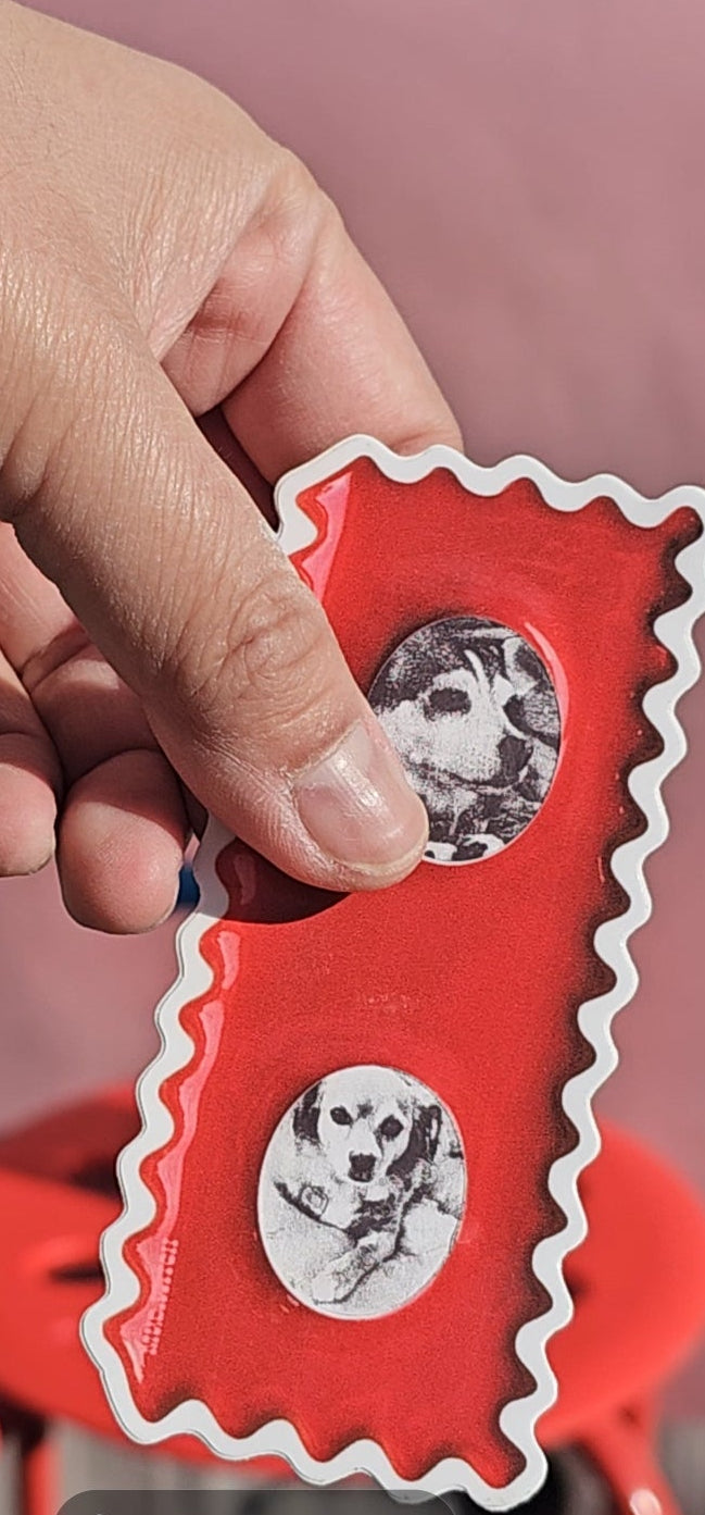 APPLE MINI FRAME STICKER • PUT YOUR OWN PICTURES IN A STICKER